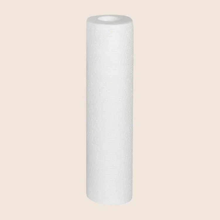 10″ Fílter í síu 50micron